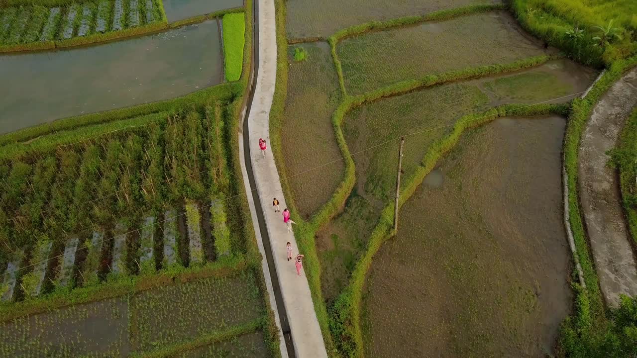 아시아의 화창한 날 동안 논 사이에서 즐겁게 놀고 노는 아이들