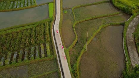 Group-of-kids-having-fun-and-playing-outdoors-between-rice-paddy-fields-during-sunny-day-in-Asia