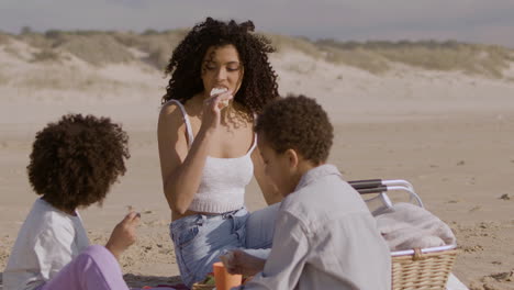 Mutter-Und-Kleiner-Junge-Und-Mädchen,-Die-Ein-Picknick-Machen-Und-Sandwiches-Essen,-Während-Sie-An-Einem-Sonnigen-Tag-Am-Meer-Sitzen