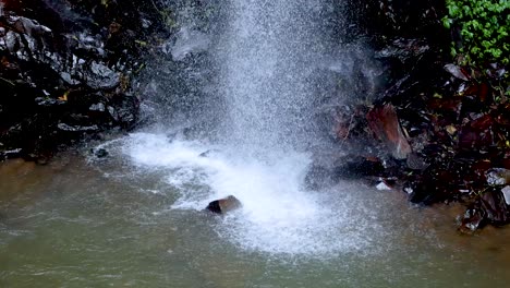 a steady waterfall pours over dark rocks into a shallow pool, surrounded by lush greenery. natural daylight, static camera, tranquil mood
