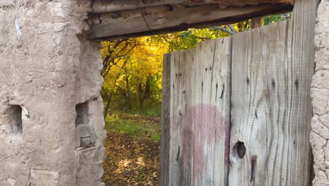 Puerta-De-Madera-Del-Jardín-Del-Huerto-De-Granados-En-La-Temporada-De-Cosecha-En-Irán-El-Rojo-Maduro-Jugoso-Delicioso-Fruto-Hojas-Amarillas-árbol-Otoño-Dorado-Arabia-Saudita-Irán-Yazd-Ardakan-Aqda-Campo-Barro-Pared-De-Arcilla