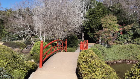 Pan-right-from-red-bridge-to-pond,-Ju-Raku-En-Japanese-Garden,-Toowoomba,-Australia