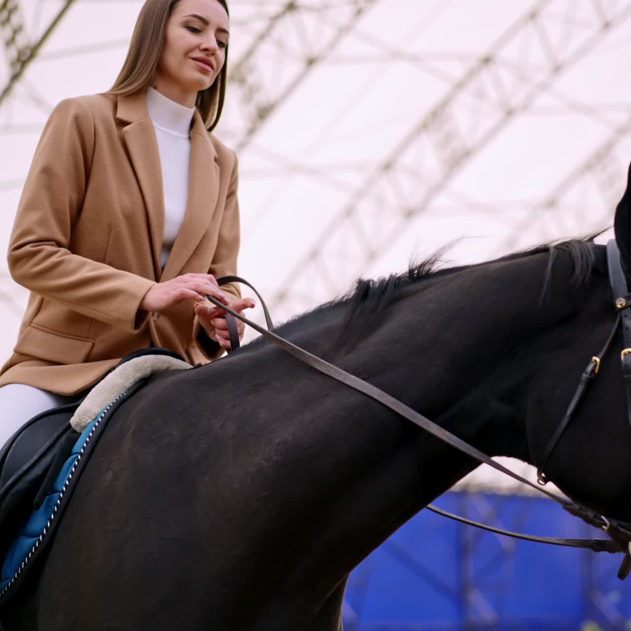 Splendido cavallo nero che indossa munizioni con una donna seduta in sella sul suo dorso. Primo piano. La donna accarezza l'animale dolcemente. Angolazione dal basso. Sfondo sfocato.