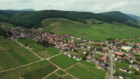 aerial view of a french vineyard and village