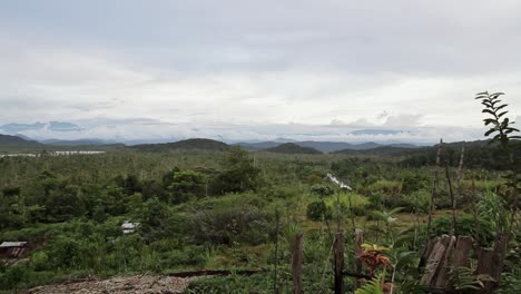 paisaje de la jungla de indonesia en papua cerca de jayapura - pan de tiro amplio a la izquierda