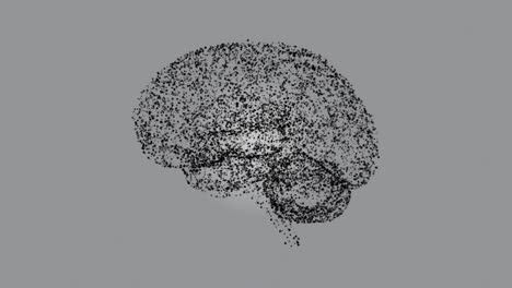 4k abstracto de partículas cerebrales en bucle animación, inteligencia artificial, fondo de color gris