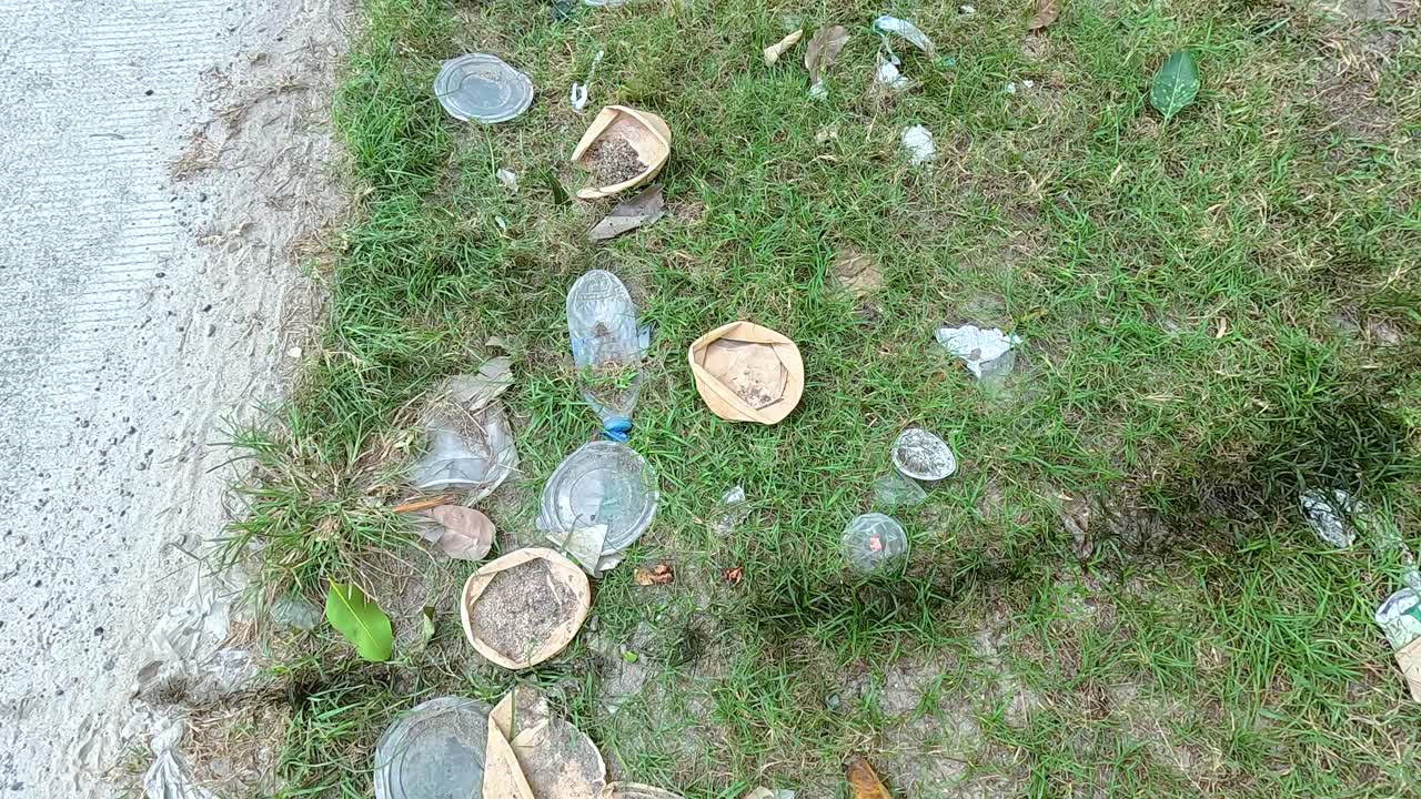 Plastic and organic waste scattered on grassy roadside in Koh Samui, Thailand. Daylight highlights environmental pollution