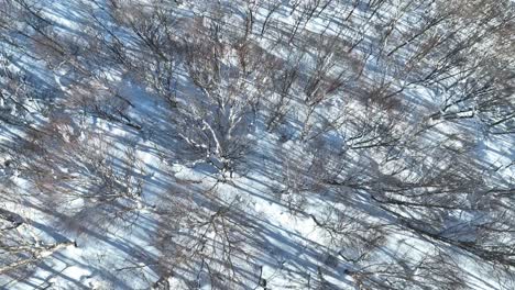 Aerial-establishing-shot-of-Japan-snowy-valley-near-the-Nagano-Myoko-Yamanochi-region