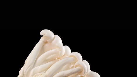 a cluster of enoki mushrooms rotates smoothly against a solid black background, illuminated with soft, even lighting for clear detail and texture