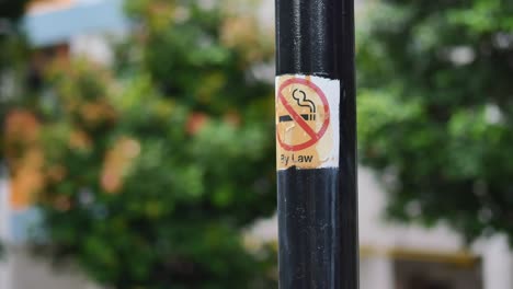 no hay un cartel de humo en un árbol en un parque público,