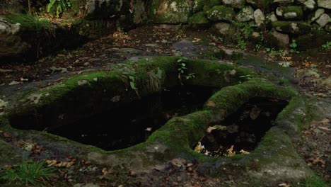 ancient stone ruins with moss and water