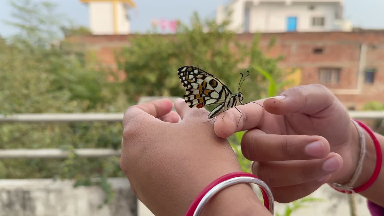 Una farfalla che cammina sulla mano, primo piano di una farfalla sulla mano di una donna