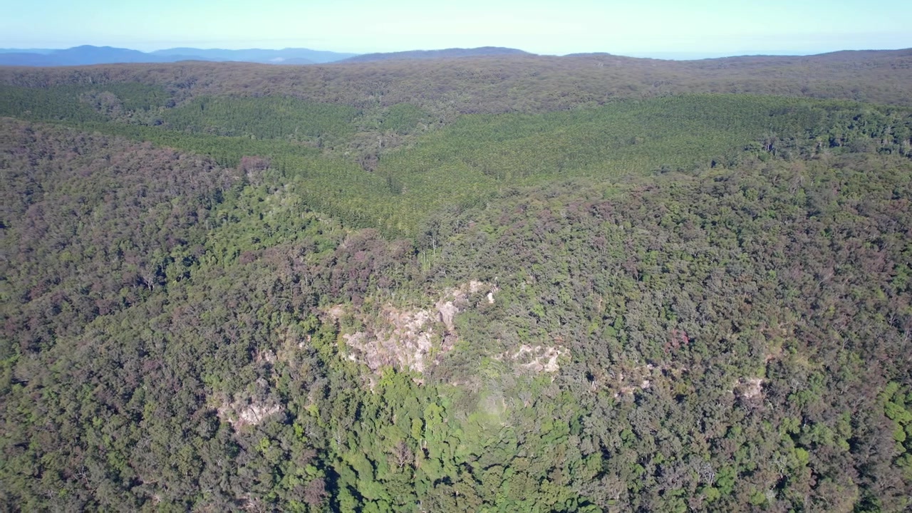 Vista panoramica su giungle lussureggianti del Parco Nazionale D'Aguilar nel Queensland, Australia - Ripresa con drone.