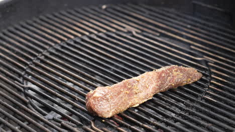 colocando cortes de carne de res marinados en la parrilla de carbón caliente del patio trasero - chisporroteando y fumando en cámara lenta