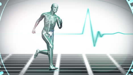 cuerpo digital que se ejecuta sobre fondo blanco