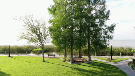 Flying-pan-over-trees-to-reveal-a-lake-on-a-sunny,-Spring-afternoon-in-Florida