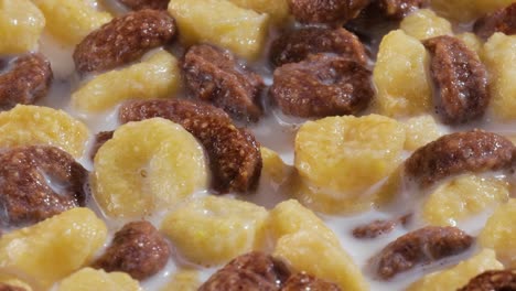 cereal de maíz de chocolate para el desayuno en un tazón con leche.