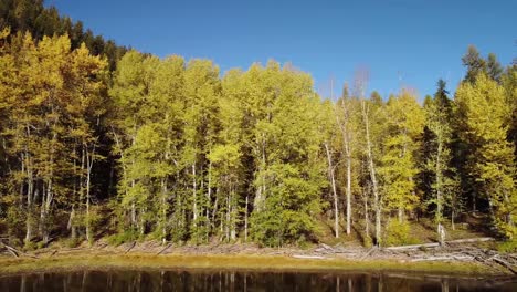 Scenic-autumn-trees-next-to-the-lake-on-a-sunny-day,-drone-flying-sideways