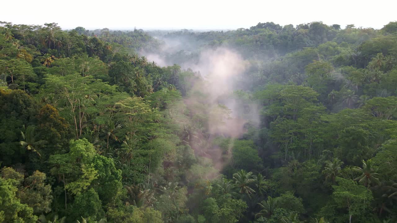 tenues nubes sobre la selva tropical cerca de la montaña batur en bali, indonesia