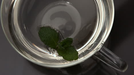 mint leaf falling into glass cup of water