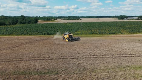 25 august 2024 penkule, latvia - aerial view of combine harvester at work. summer field work on the farm. top view of combine gathering corn or wheat crop.