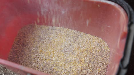 pouring corn or grain into a bag and bucket