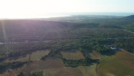 Paisaje-De-Viñedos-Con-Mar-Mediterráneo-En-El-Fondo-Vista-Aérea-Carretera