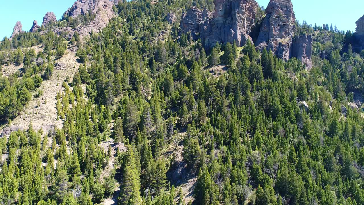 montana en la patagonia argentina, rodeada de pinos