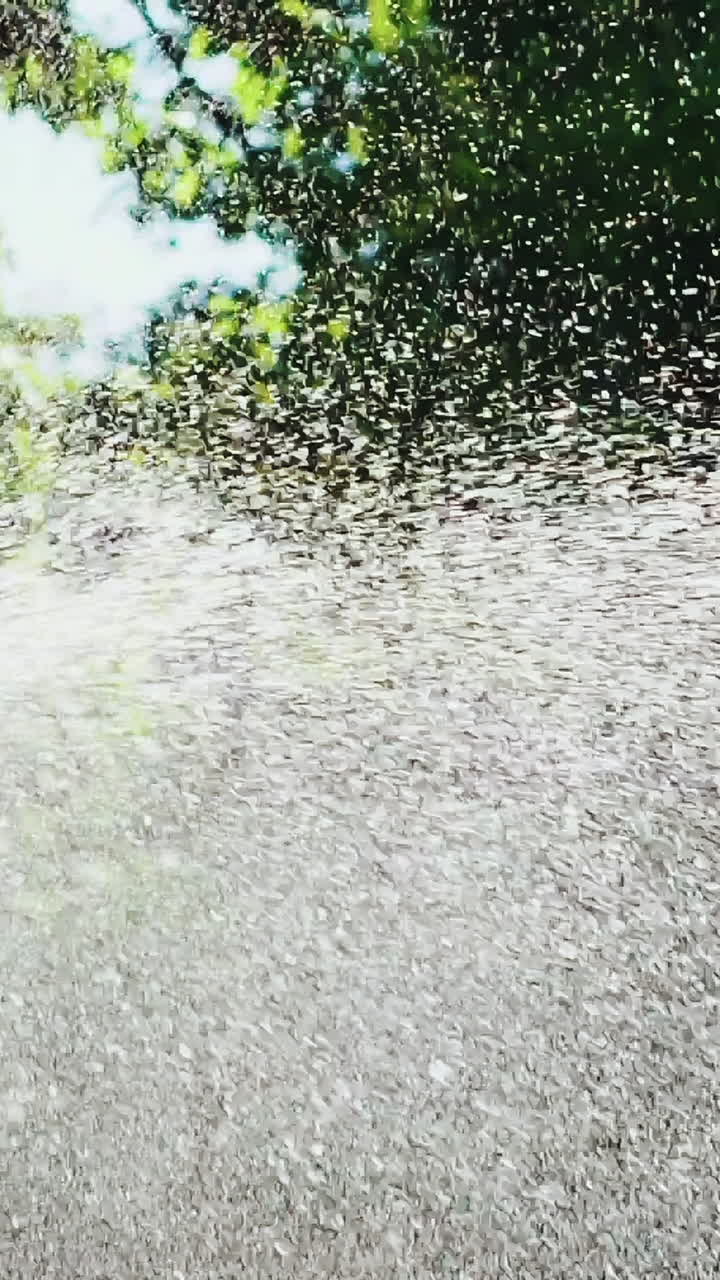 Plastic automatic water sprinkler with strong spray watering grass in garden. Slow Motion. Vertical video