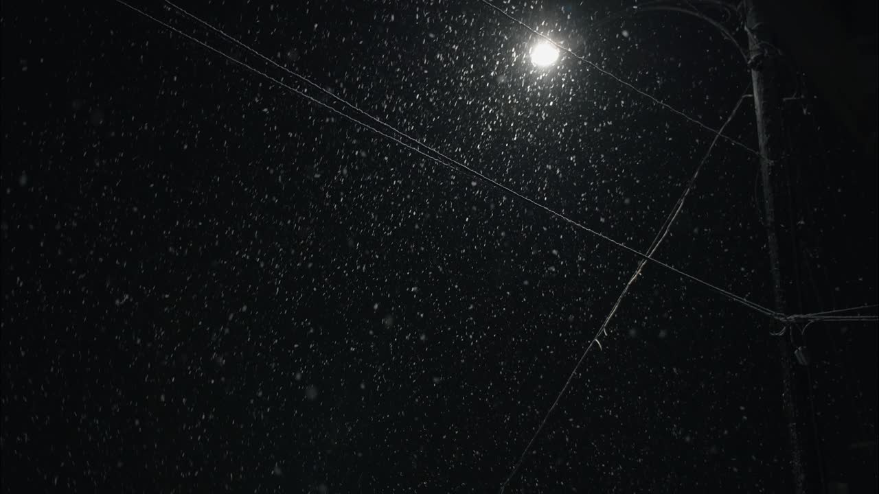 밤에는 겨울의 눈이 내리며 거리 조명에서 도시 거리에서 눈이 내린다.