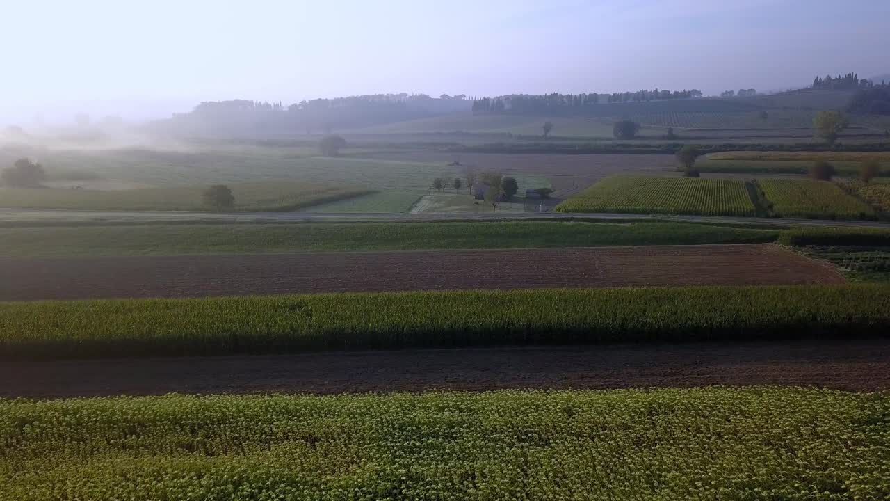 цветочные поля в тосканской сельской местности в италии туманным утром, съемка с воздуха с помощью куколки с правой стороны