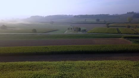 Ernten-Sie-An-Einem-Nebligen-Morgen-Blumige-Felder-Auf-Dem-Toskanischen-Land-In-Italien,-Luftbildwagen-Rechts-Zeigt-Die-Aufnahme