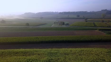 crop flowery fields on tuscan countryside in italy on a foggy morning, aerial dolly right reveals shot