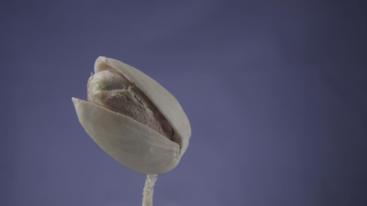 pistacho girando con bucle en la pantalla azul para la llave de croma