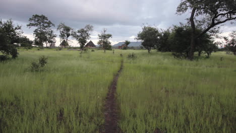 Ruhige-Ländliche-Landschaft-Grünes-Gelände-Afrika-Senegal