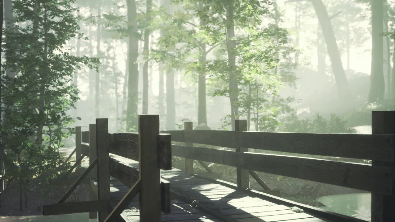 Misty forest pathway with wooden fence under soft morning light