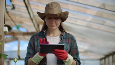 hermosa mujer florista camina a través del invernadero con una tableta de computadora comprueba las rosas cultivadas mantiene el seguimiento de la cosecha y comprueba la flor para clientes de negocios