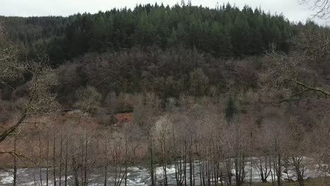 Drone-aerial-shot-moving-through-trees-towards-Afon-Lledr-river-and-Gwydir-forest,-Wales-Day-time