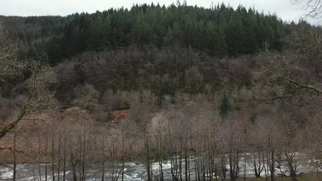drone aerial shot moving through trees towards afon lledr river and gwydir forest, wales day time