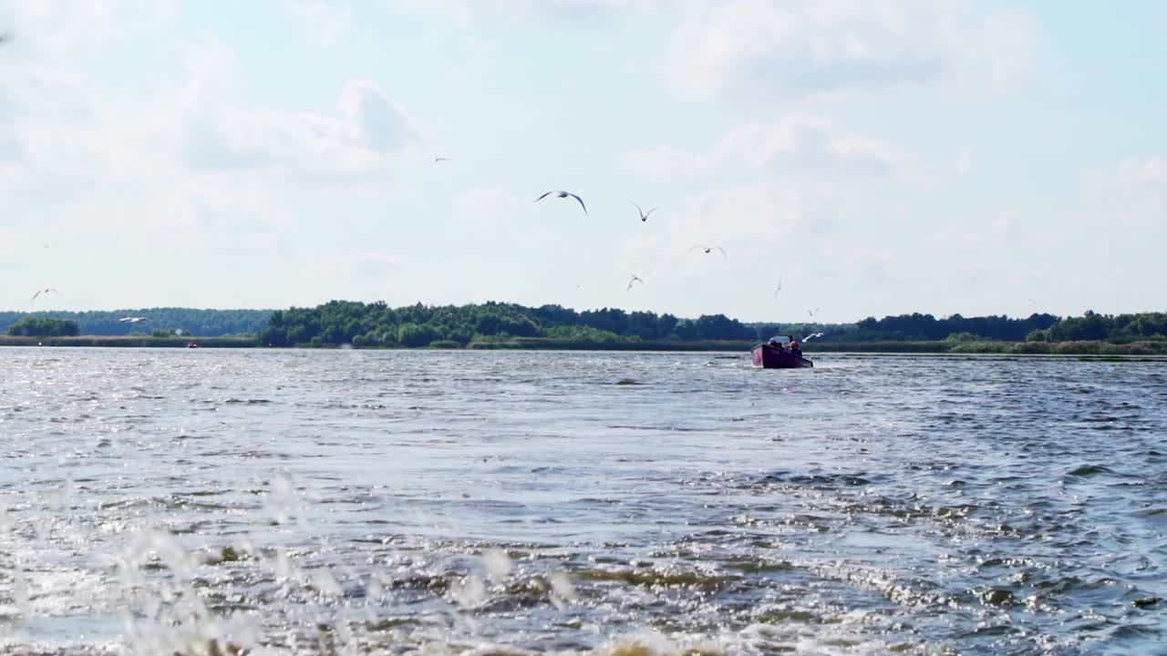 Birds Flying At Danube Delta Over The Fishing Boat - Backwash And Water Splashing From A Speedboat Travelling At Danube Delta In Tulcea, Romania