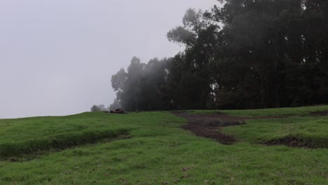 Viento-Costero-Y-Niebla-Rodando-Sobre-El-área-Recreativa-Estatal-De-Polipoli-Spring-En-El-Interior-Del-País-De-Maui,-Hawaii