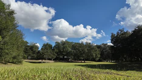 time-lapse of a tranquil green meadow with trees under a clear sky