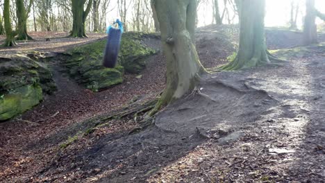 tyre rope swing hanging in autumn woodland forest playground