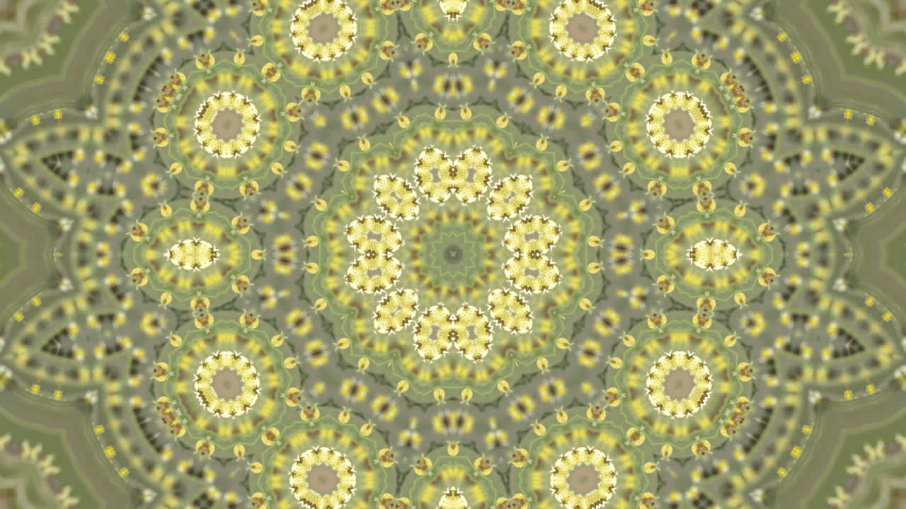 노란색과 녹색 원 추상적인 대칭 배경