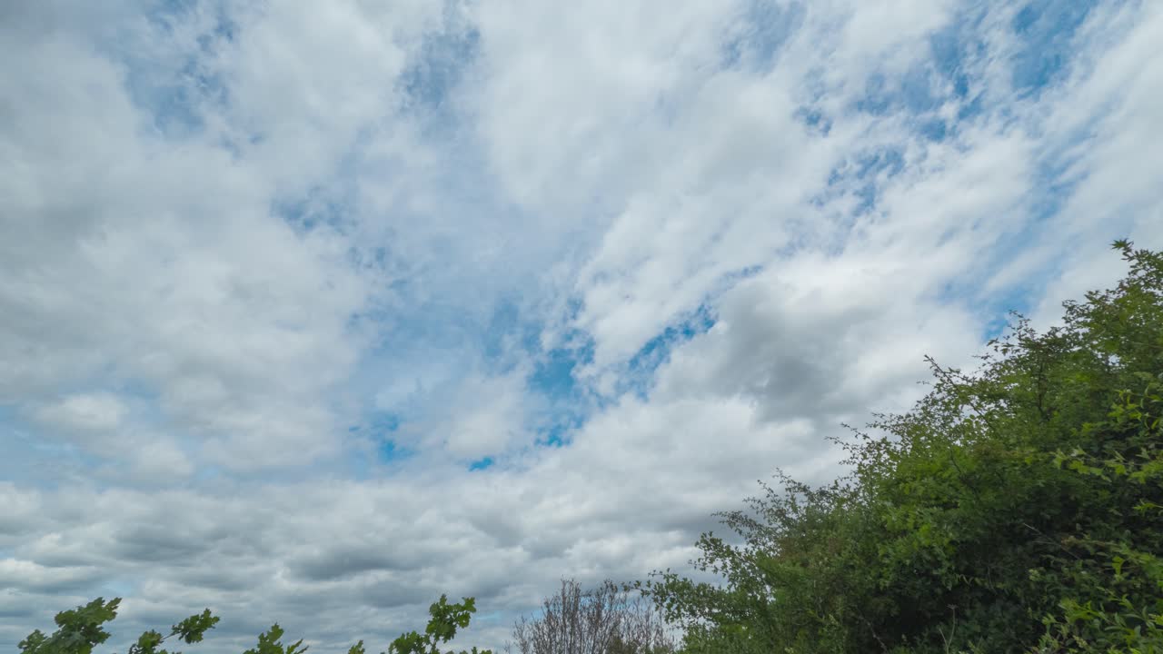 Bright timelapse of clouds drifting across a blue sky with greenery below