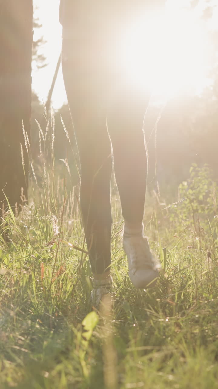 여성 조거는 해가 지는 동안 숲에서 뛰고, 젊은 여성은 따뜻한 빛 아래 나무 사이에서 조하고, 건강을 향상시키기 위해 신선한 공기에서 피트니스 운동을합니다.