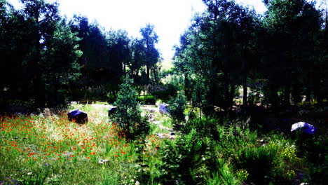 lush meadow filled with vibrant wildflowers near a dense forest in daylight