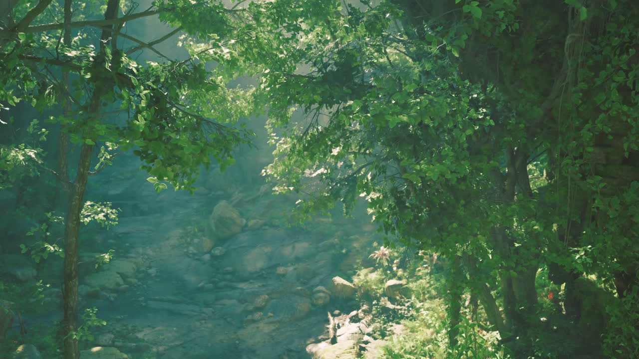 Serene forest setting with soft sunlight filtering through trees