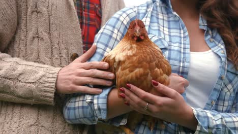 couple holding an hem