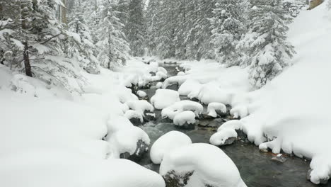 Foque-De-Un-Arroyo-Tranquilo,-Revelando-Un-Paisaje-Cubierto-De-Nieve